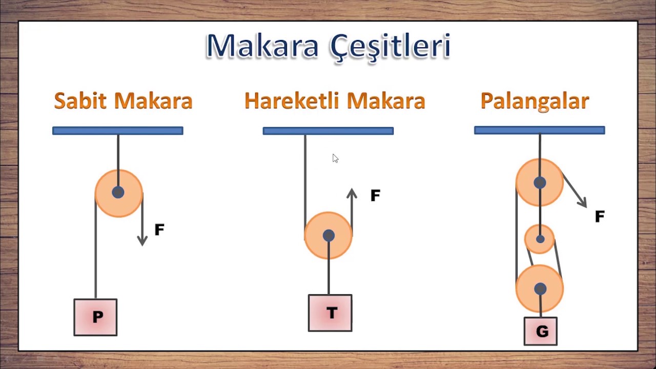 Makara